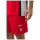 Nike Ανδρικό σορτς NBA Chicago Bulls Mesh Shorts